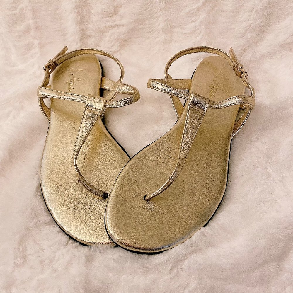 COPY - Gold Cole Haan-Nike Air Sandals